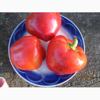 Семена томатов(помидоров). Все колекции, 200 сортов