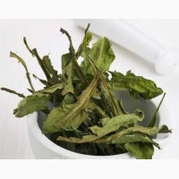 Кульбаба (одуванчик) листя сушене куплю