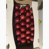 Продаємо газовані яблука гарної якості.Голден, Грені, Фуджі, Ред Делішес