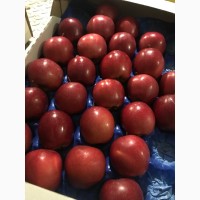 Продаємо газовані яблука гарної якості.Голден, Грені, Фуджі, Ред Делішес