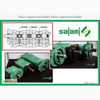 Ремонт гидромоторов Salami, Ремонт гидронасосов Salami
