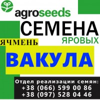 Элитные семена ярового ячменя от производителя в Харьковской области З8 О73 ООО 58 8О