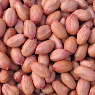 Red Peanut for sale