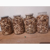 Продам сушені білі гриби