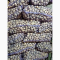 Продам насінневу картоплю, сорт РІВ#039;ЄРА