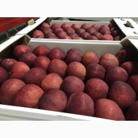 Яблоки оптом со склада в Краснодарском крае