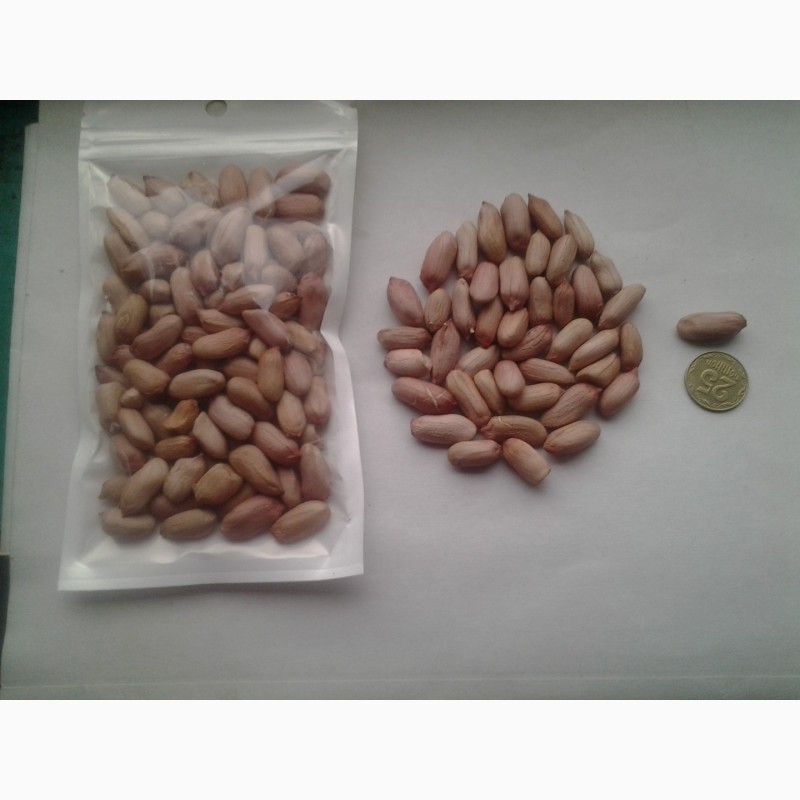 Фото 2. Продам насіння сортового арахісу Валенсія, Вірджіня