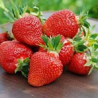 КУПЛЮ свіжу ягоду для заморозки: Полуниця, Смородина, Малина, Чорниця, Вишня