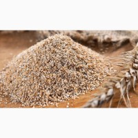 Fresh wheat bran for sale