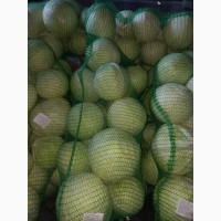 Продам капусту в Польше