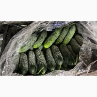 Продам турецькі овочі