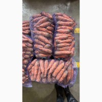 Продаж моркви оптом від 10 тон, другий сорт