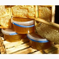 Пропоную бджолопакети української степової породи