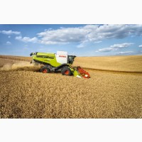 Услуги уборки урожая рапса, пшеницы комбайнов Claas Lexion 740 и 580 + жатка Vario - 9 м