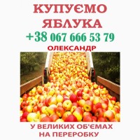 Яблука закуповуємо догоро - Ціна + окремо ПДВ - НОМЕР ТЕЛ НА ФОТО