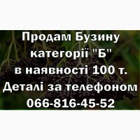 Продаю Бузину категорії Б за договірною ціною! Без вихідних