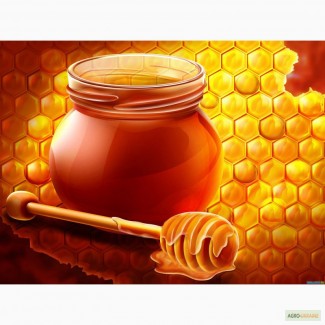 Украинский мед