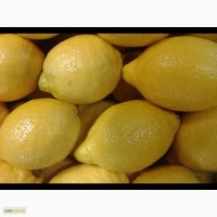 Продажа лимон свежий импорт