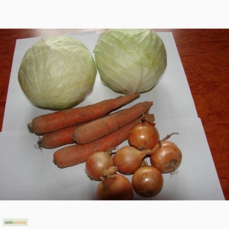 Підприємство реалізує зі складу з РГС капусту білокачанну, цибулю ріпчасту, моркву