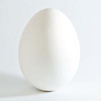 Інкубаційні яйця качки