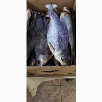 Рыбоперерабатывающее предприятие реализует речную вяленую и копченую рыбу в ассортименте