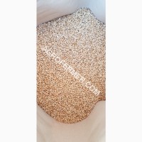 Семена пшеницы сорт Baxter канадская трансгенная двуручка