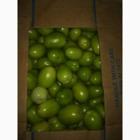 Продам зелёный помидор, сорт GALILEA
