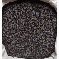 Семена Вики озимой от 25 кг. Сорт Днепровский