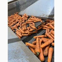 Продам товарный картофели, лук, морковь, свёкла