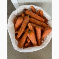 Продам товарный картофели, лук, морковь, свёкла