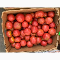 Продам помідор другого сорту лопша припечена на сік переробку