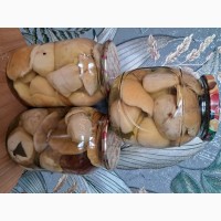 Продам мариновані гриби