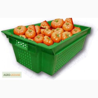 Ящики пластиковые многооборотные для помидоров