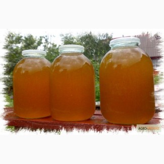 Продам экологически чистый мёд Лучшее качество! Низкая цена 3 литра