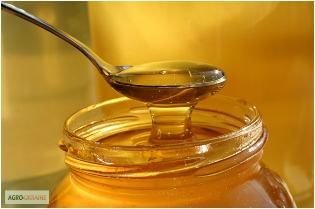 Фото 2. Продам экологически чистый мёд Лучшее качество! Низкая цена 3 литра