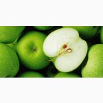 Яблочный концентрат пищевой порошкообразный