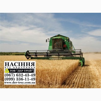 Продаем семена яровой пшеницы, посевной материал пшеницы