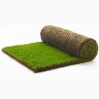 Предлагаем продажу с доставкой и разгрузкой и укладкой качественный Рулонный газон 
