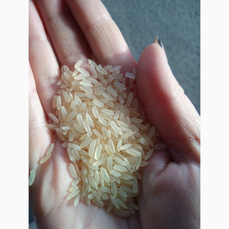 Фото 2. Продам рис для суши