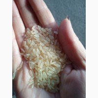 Продам рис для суши