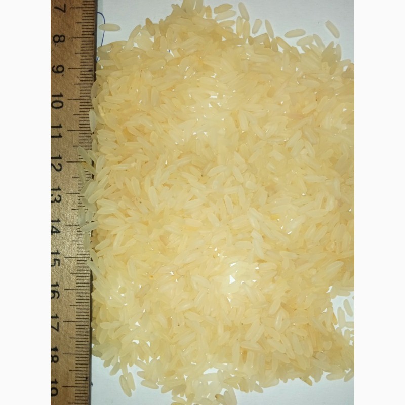 Фото 4. Продам рис для суши