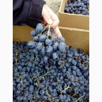Продам столовый виноград из хранилища