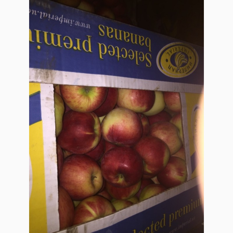 Фото 3. Продам яблука Монтуан Айдарет