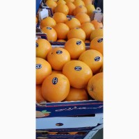 Продам апелсин египет