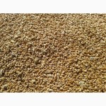 Продати пшеницю 2019 в нових мішках