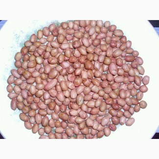 Walnut, Cashew Nut, Peanut for sale