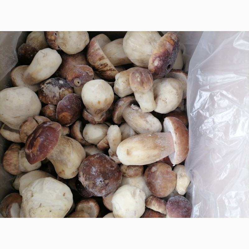 Фото 3. Продам білі гриби морожені