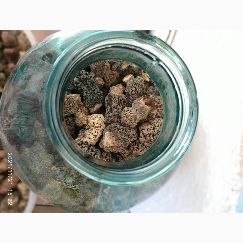 Фото 3. Продам грибы сморчок сушёный Степной