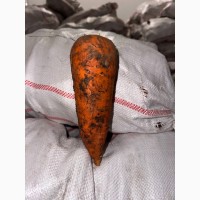 Продам морковь 2й сорт