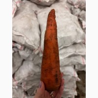 Продам морковь 2й сорт